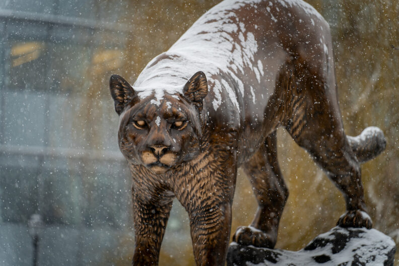 Cougar statue with snow on its back