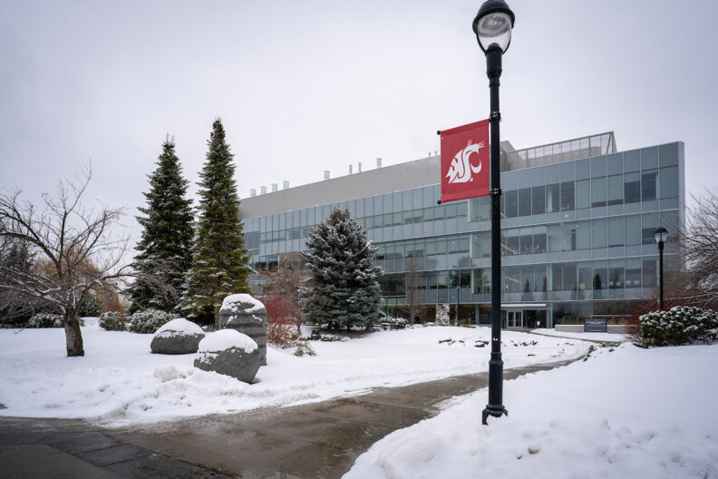 PBS in the snow with crimson Coug light pole banner.