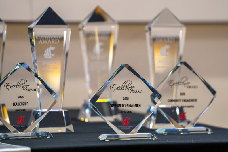 Excellence award trophies