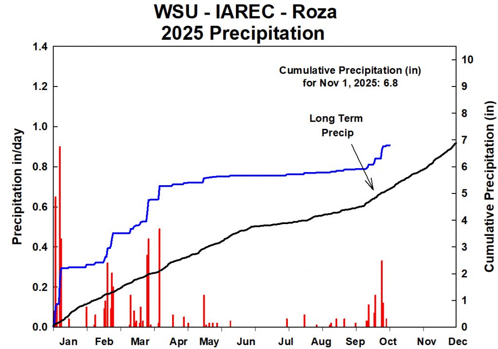 Line graph showing accumulated preciptation for 2025 at WSU-IAREC Roza. See description below for details.