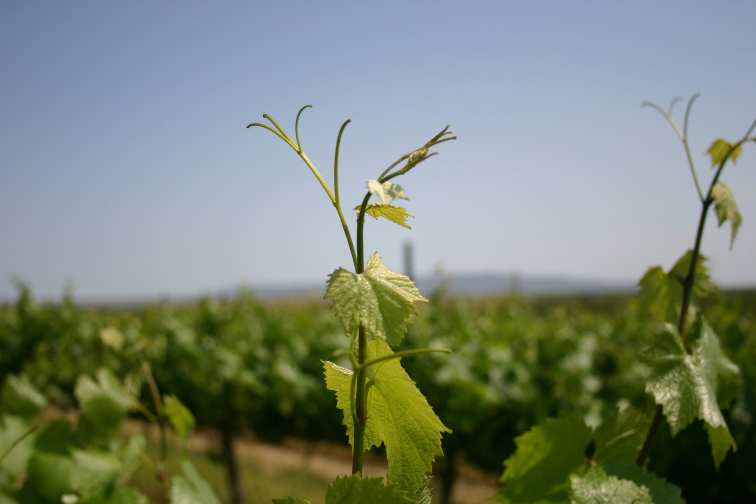 Student in a computer lab wearing a virtual reality headset and using controllers.