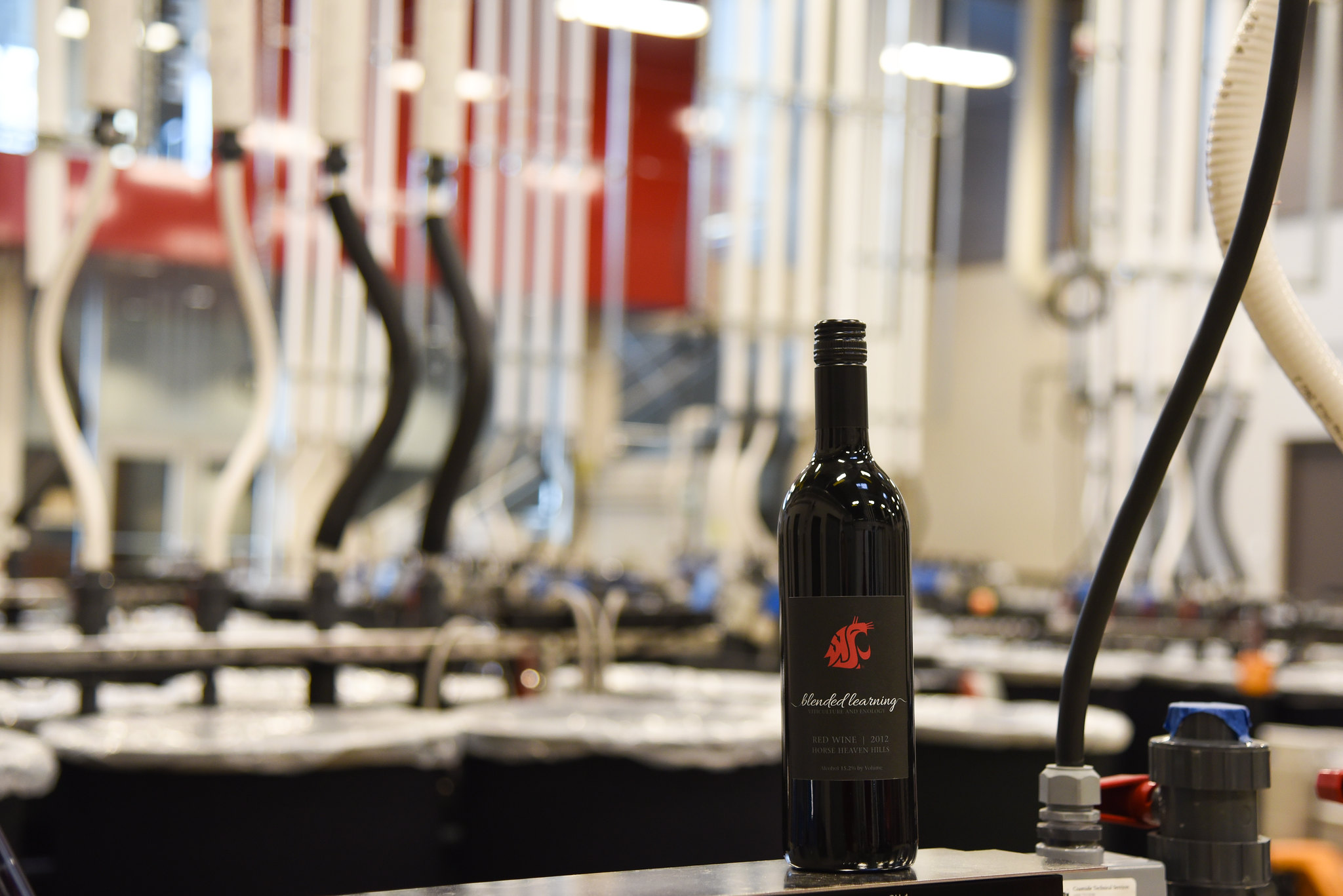 A bottle of WSU Blended Learning wine sitting on a table in the WSU Wine Science Center.