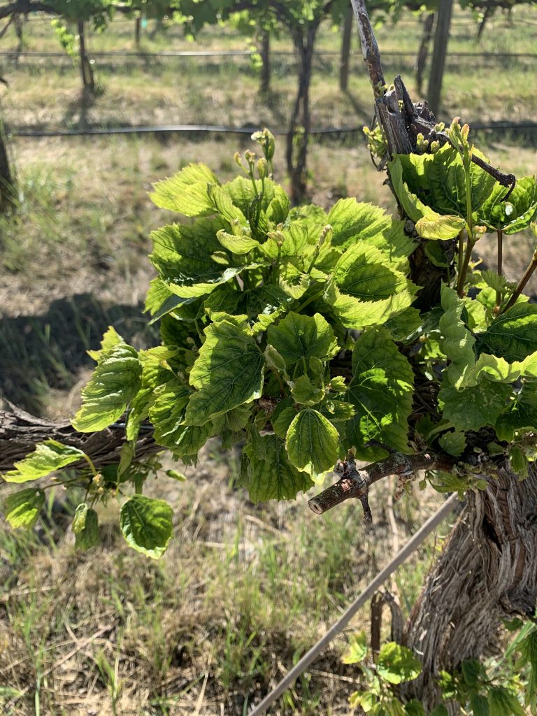 Student in a computer lab wearing a virtual reality headset and using controllers.