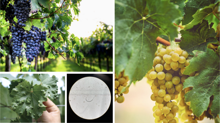 Student in a computer lab wearing a virtual reality headset and using controllers.