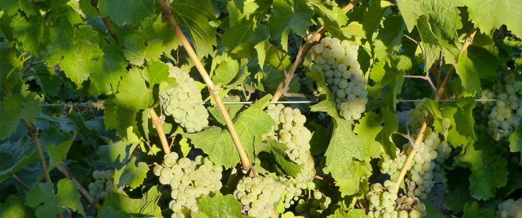 Student in a computer lab wearing a virtual reality headset and using controllers.