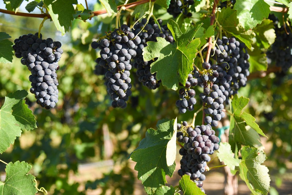 Student in a computer lab wearing a virtual reality headset and using controllers.