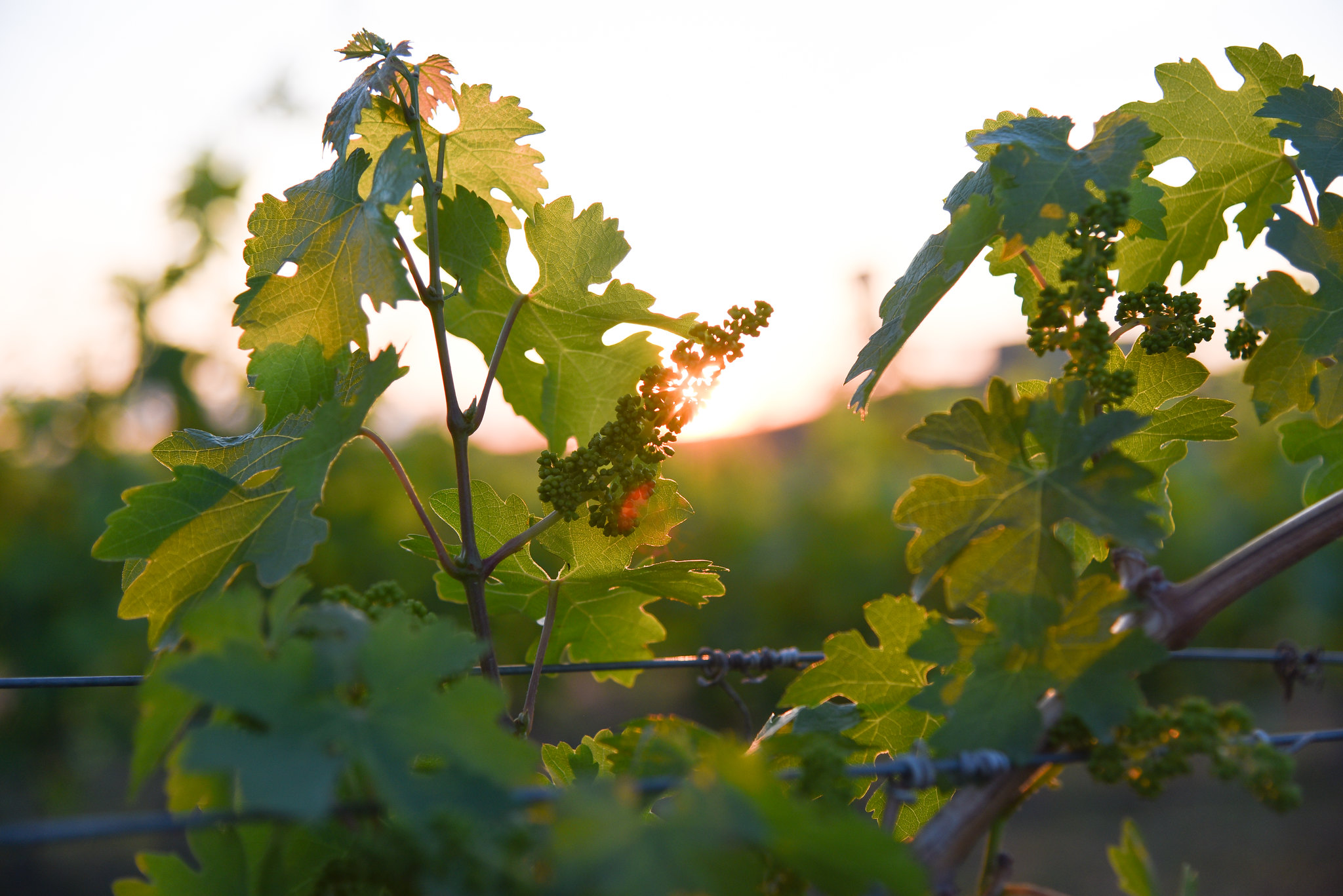 Student in a computer lab wearing a virtual reality headset and using controllers.