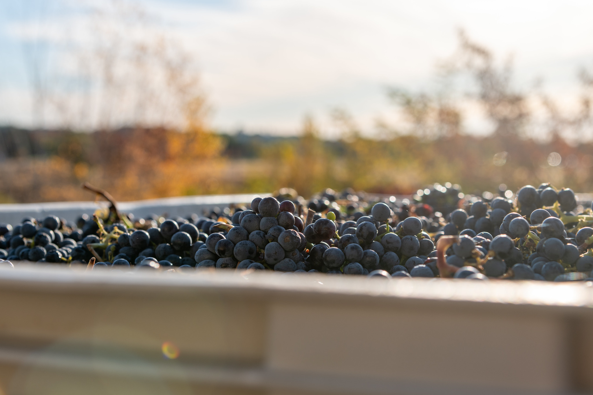 Student in a computer lab wearing a virtual reality headset and using controllers.