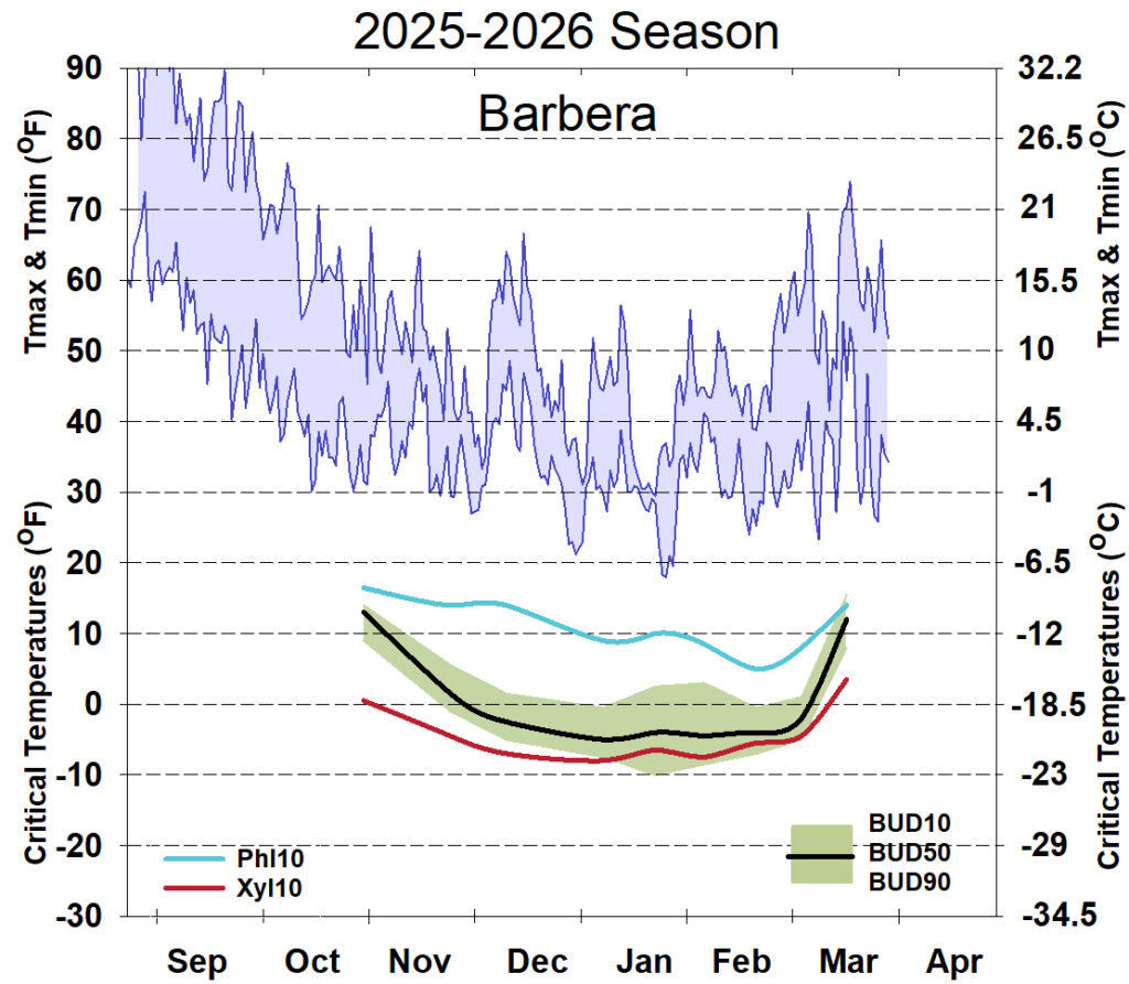 Graph showing winter daytime high and low temperatures, followed by how bud cold hardiness for Barbera grapevines is responding to that temperature for September 2025-April 2026. See description below for details.