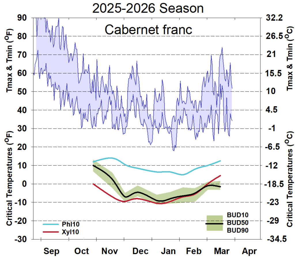Graph showing winter daytime high and low temperatures, followed by how bud cold hardiness for Cabernet Franc grapevines is responding to that temperature for September 2025-April 2026.