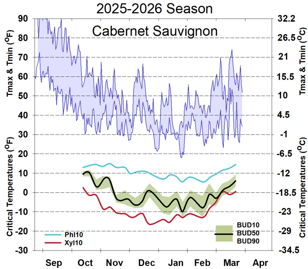 Graph showing winter daytime high and low temperatures, followed by how bud cold hardiness for Cabernet Sauvignon grapevines is responding to that temperature for September 2025-April 2026. See description below for details.