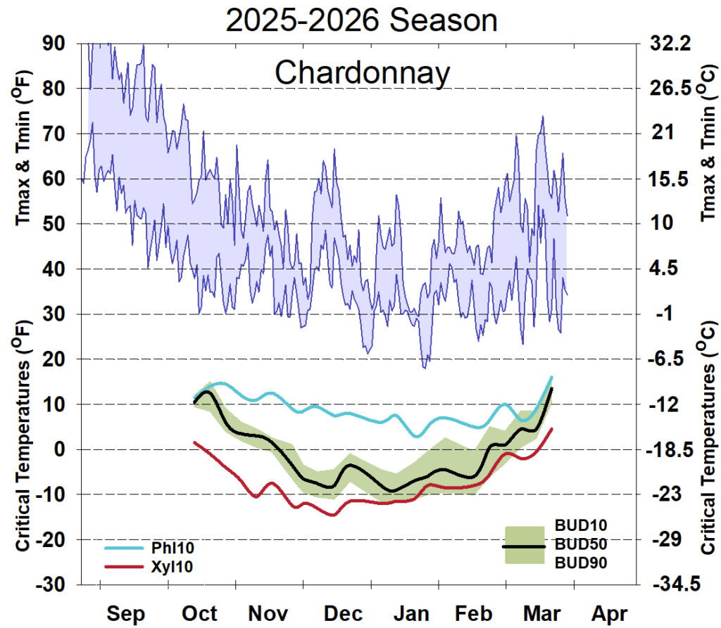Graph showing winter daytime high and low temperatures, followed by how bud cold hardiness for Chardonnay grapevines is responding to that temperature for September 2025-April 2026.
