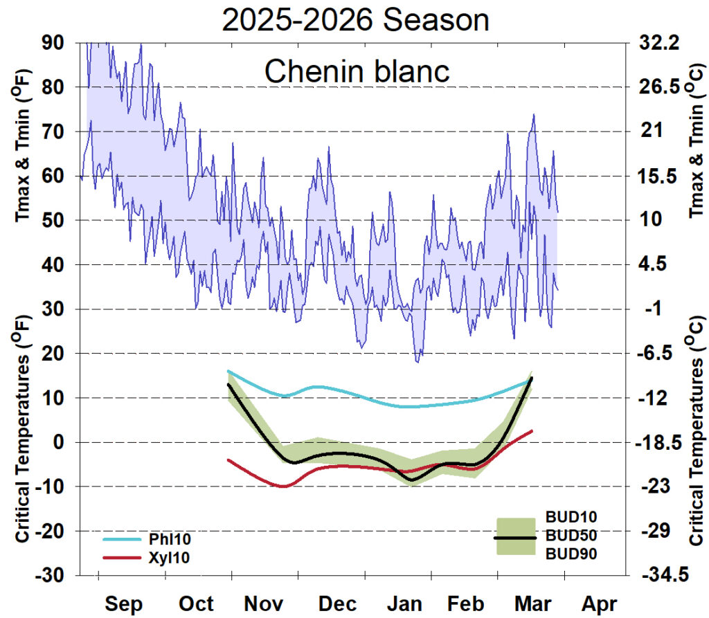 Graph showing winter daytime high and low temperatures, followed by how bud cold hardiness for Chenin Blanc grapevines is responding to that temperature for September 2025-April 2026. See description below for details.
