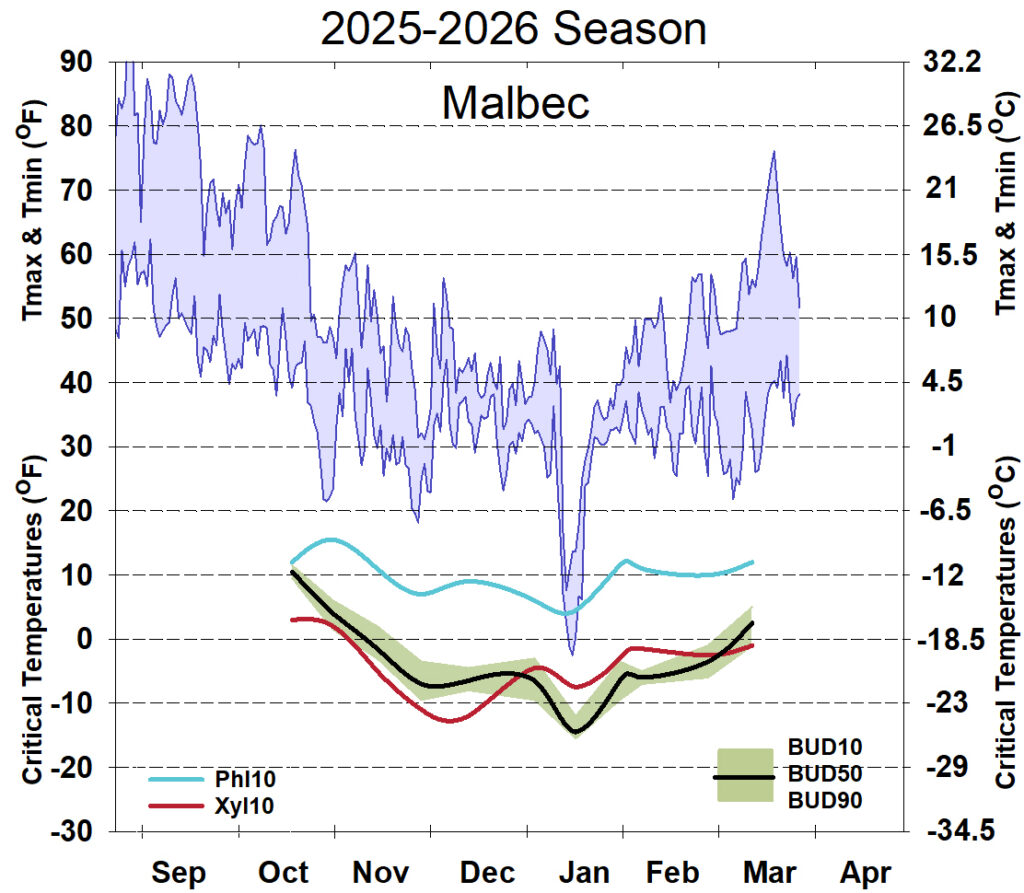 Graph showing winter daytime high and low temperatures, followed by how bud cold hardiness for Malbec grapevines is responding to that temperature for September 2025-April 2026. See description below for details.
