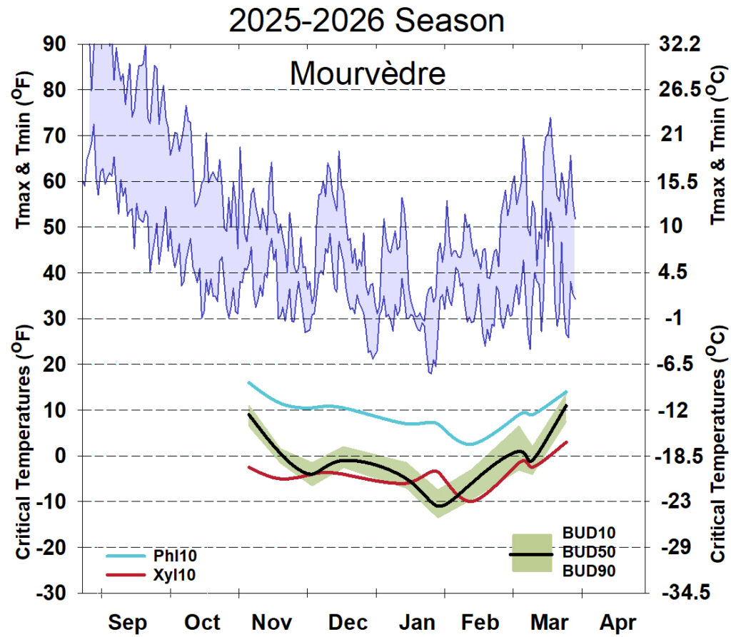 Graph showing winter daytime high and low temperatures, followed by how bud cold hardiness for Mourvedre grapevines is responding to that temperature for September 2025-April 2026. See description below for details.