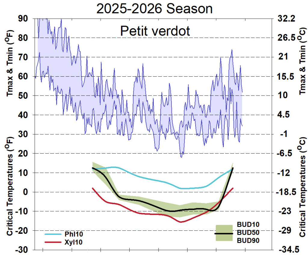 Graph showing winter daytime high and low temperatures, followed by how bud cold hardiness for Petit Verdot grapevines is responding to that temperature for September 2025-April 2026. See description below for details.