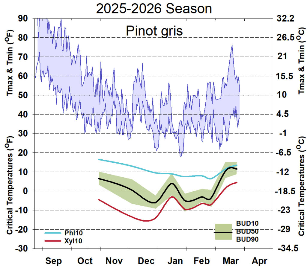 Graph showing winter daytime high and low temperatures, followed by how bud cold hardiness for Pinot Gris grapevines is responding to that temperature for September 2025-April 2026. See description below for details.