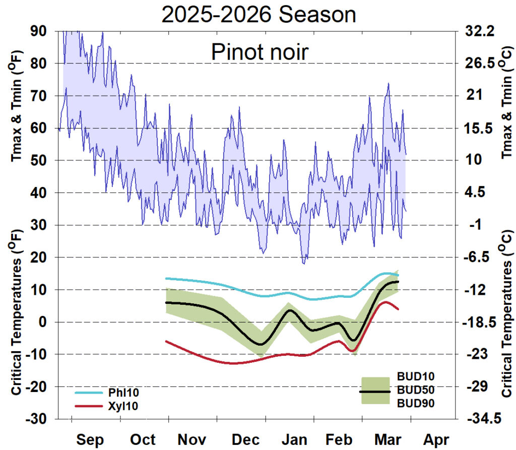 Graph showing winter daytime high and low temperatures, followed by how bud cold hardiness for Pinot Noir grapevines is responding to that temperature for September 2025-April 2026. See description below for details.