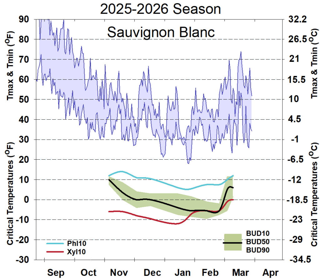 Graph showing winter daytime high and low temperatures, followed by how bud cold hardiness for Sauvignon Blanc grapevines is responding to that temperature for September 2025-April 2026. See description below for details.