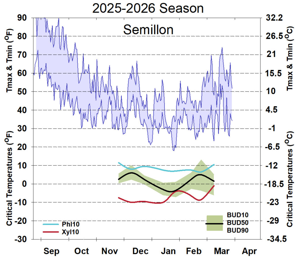 Graph showing winter daytime high and low temperatures, followed by how bud cold hardiness for Semillon grapevines is responding to that temperature for September 2025-April 2026. See description below for details.