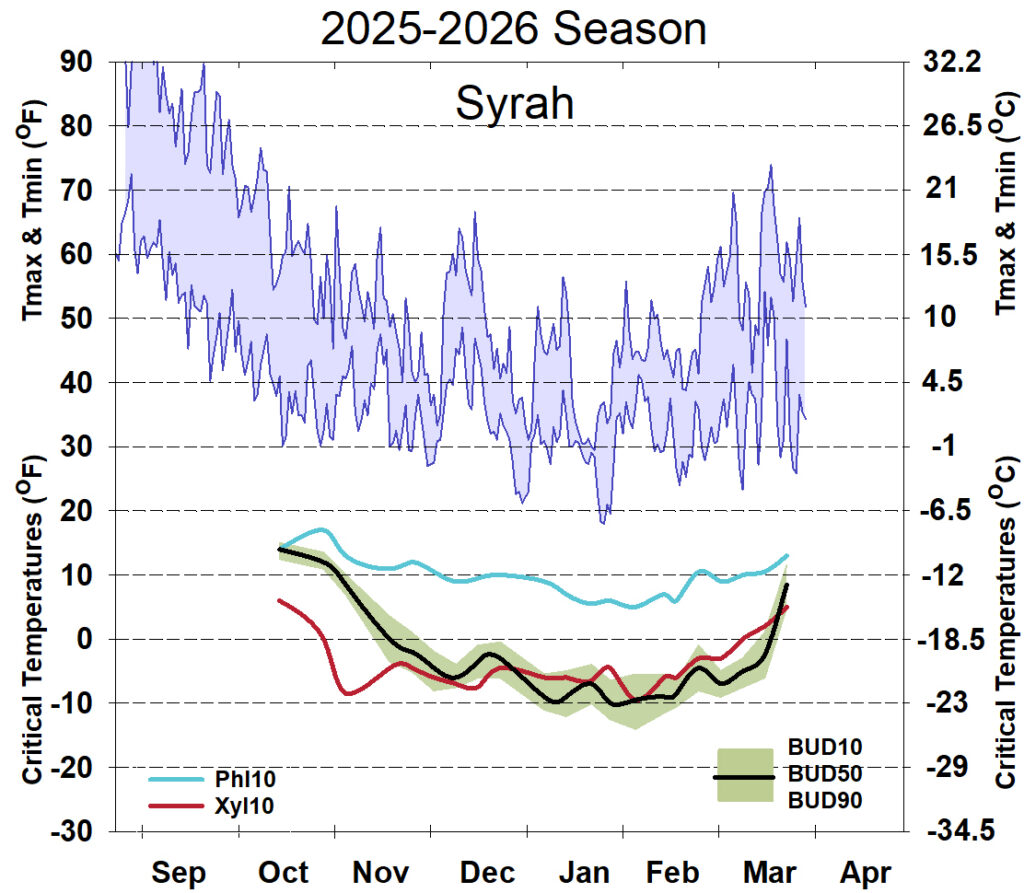 Graph showing winter daytime high and low temperatures, followed by how bud cold hardiness for Syrah grapevines is responding to that temperature for September 2025-April 2026. See description below for details.