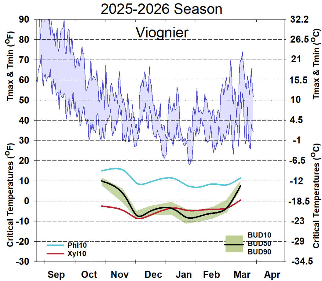Graph showing winter daytime high and low temperatures, followed by how bud cold hardiness for Viognier grapevines is responding to that temperature for September 2025-April 2026. See description below for details.