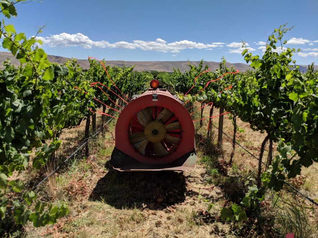 axial low-profile radial airblast sprayer in a vineyard
