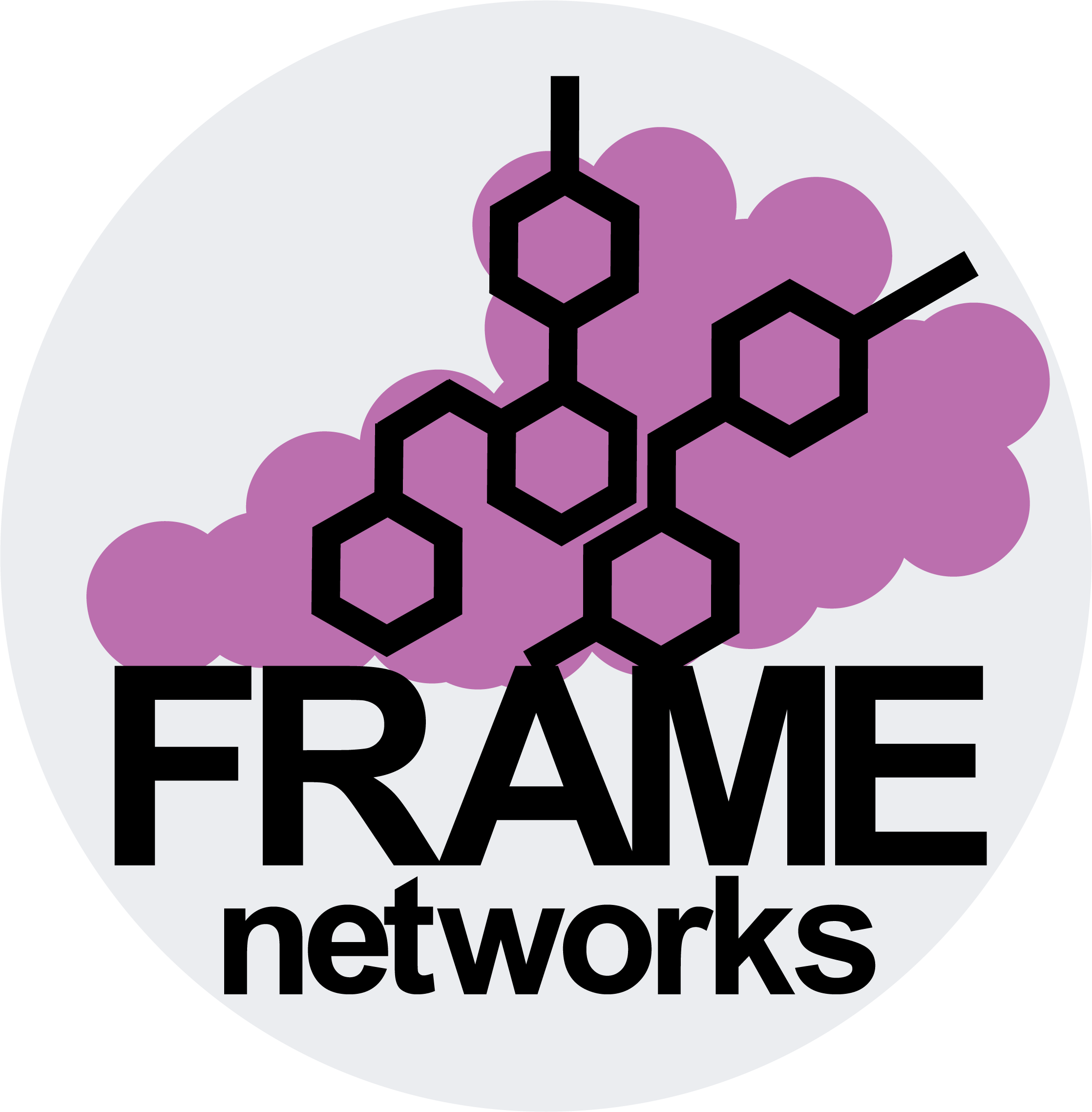FRAME Logo