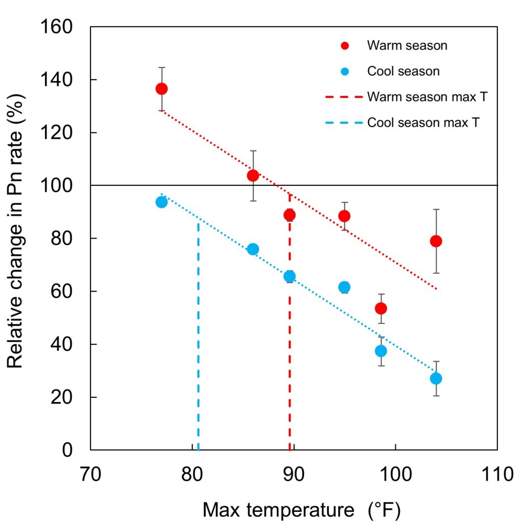 A graph that shows the negative relationships between photosynthesis rate in Cabernet Sauvignon grapes  and increasing air temperatures