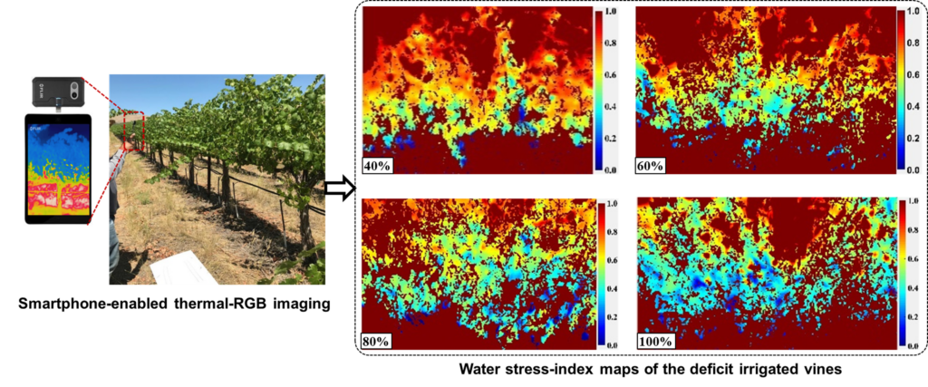 A graphic depicting a smart phone interface that can show the heat signatures of a vine once a picture of that vine is taken. 