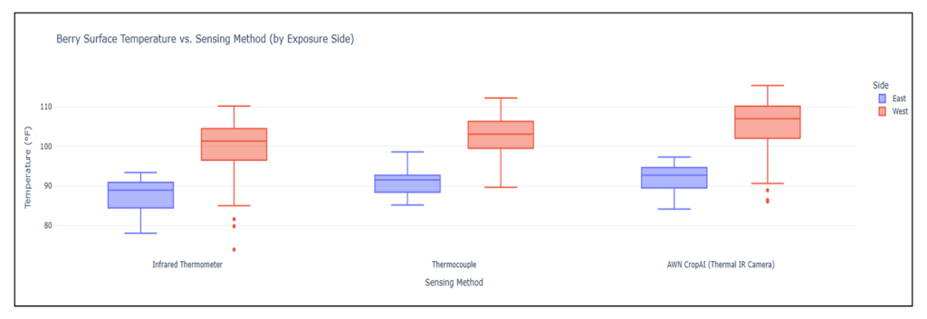 This box plot compares berry surface temperatures across three sensing methods: Infrared Thermometer, Thermocouple, and AWN CropAI, on both the East and West sides of a vineyard.