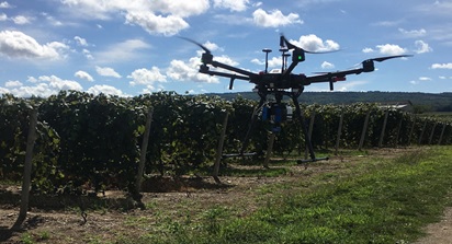 a drone flies next to a vineyard