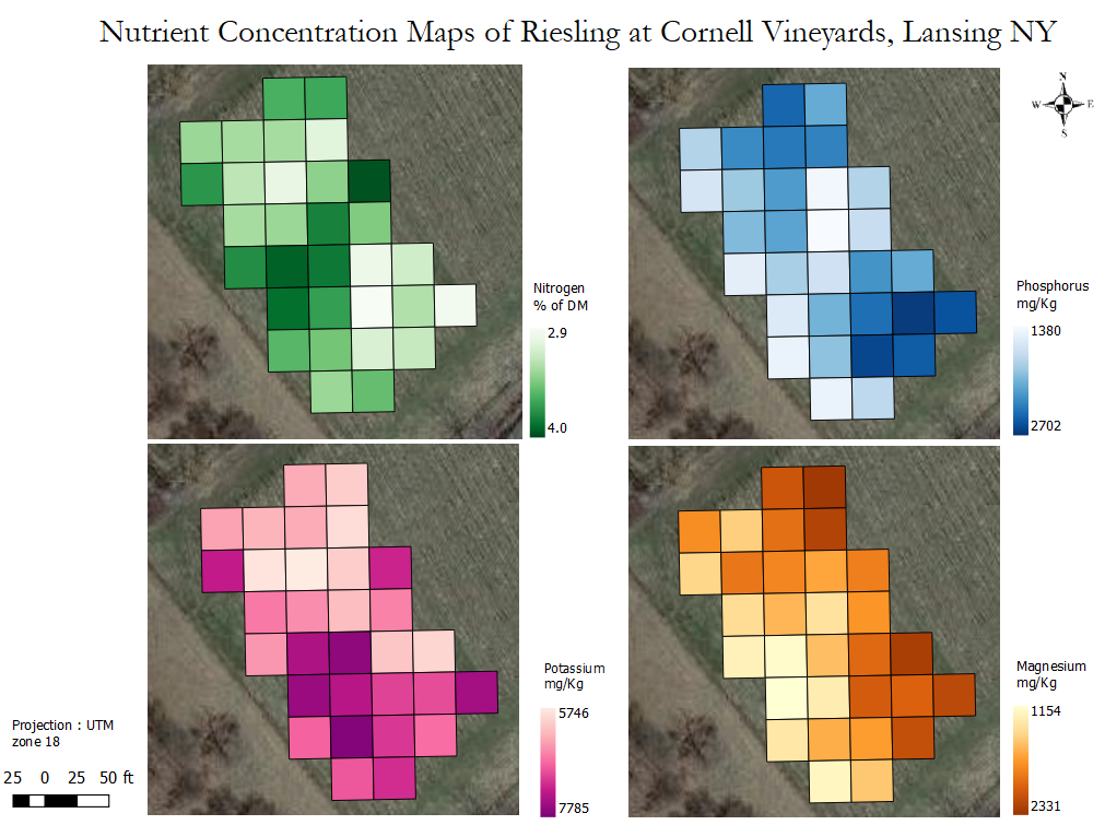 Four aerial images of a vineyard, with colored pixels overlayed that show varying levels of soil nutrients including nitrogen, phosphorus, potassium and magnesium