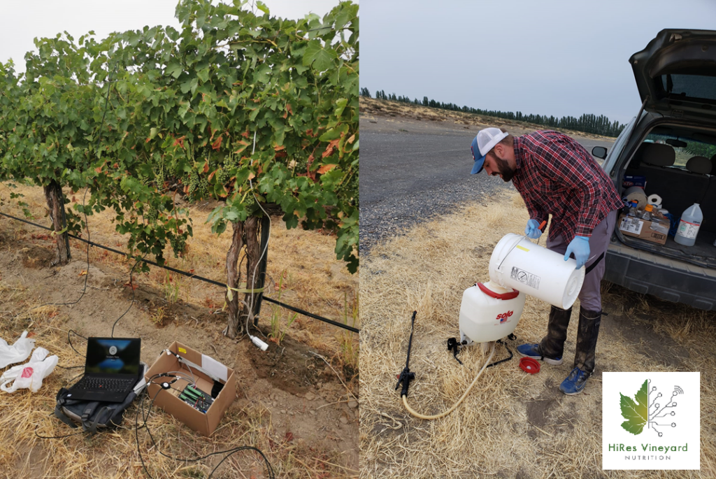 Left - a vine with different measurement instruments attached to it, which feed to a computer. Right - A person pours fertilizer into a backpack sprayer. HiResVineyard logo overlaid on the image. 