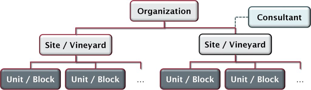 A flow chart of how the AWNfarm website works -- from organization, down to Site/Vineyard, down to individual vineyard blocks. Consultants also have access at the Site / Vineyard level. 