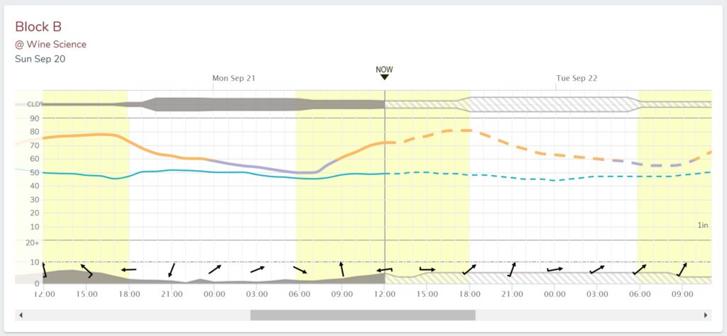 Meteogram showing air temperature, dewpoint, wind speed and direction, precipitation, and cloud cover before and after the current time.