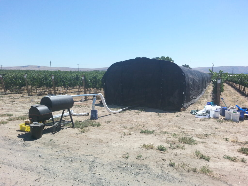 A false hoop-house spanning two vineyard rows. It is covered with shade cloth and has a smoker that is pumping smoke into the hoophouse.