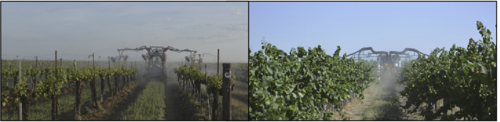 Two images with a sprayer in the vineyard. On the left, the sprayer is spraying a very small canopy. On the right, the sprayer is spraying a very large canopy.