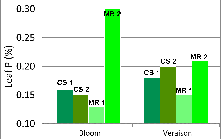 Leaf tissue phosphorous (P) before the study was initiated. Tissue is considered low in P if less than 0.15%., and most sites were at or above that 15% mark