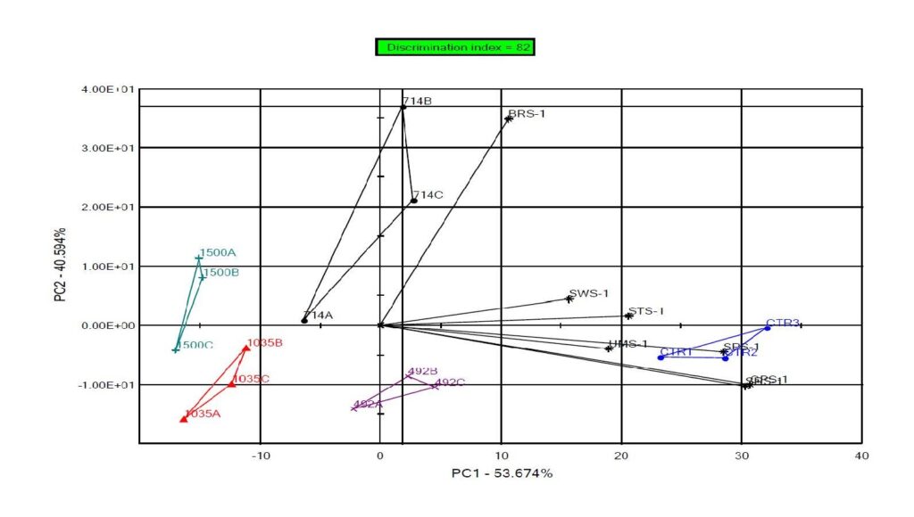 A graph showing a PCA of how the electronic tongue identifies compounds.