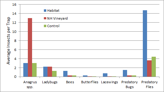 a graph showing the average catches of anagrus spp, ladybugs, bees, butterflies, lacewings, predatory buds, and predatory flies. Vineyards have a lot of anagrus, whereas native habitats had a lot of predatory flies.