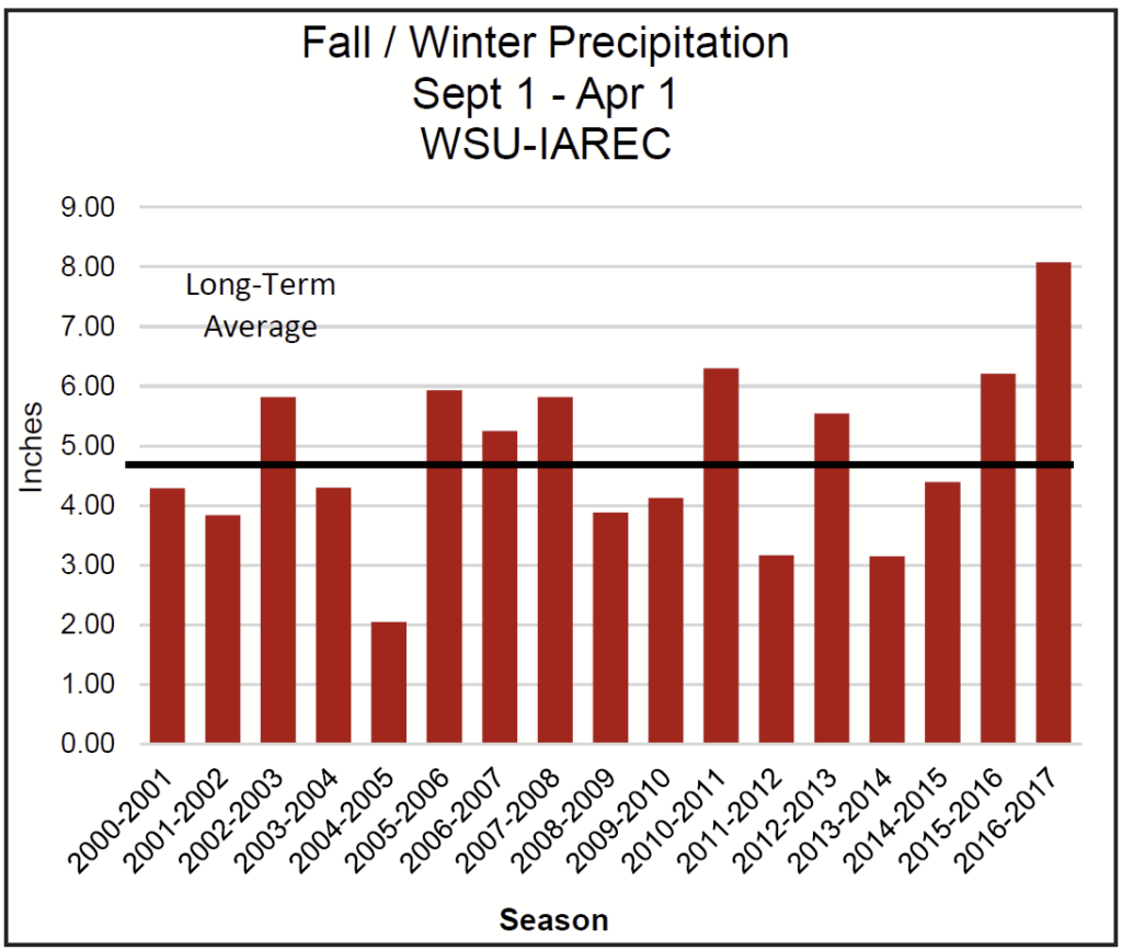 graph showing precipitation trends at WSU Prosser from 2000 to 2017, demonstrating how the 2016-2017 winter was well above long-term average