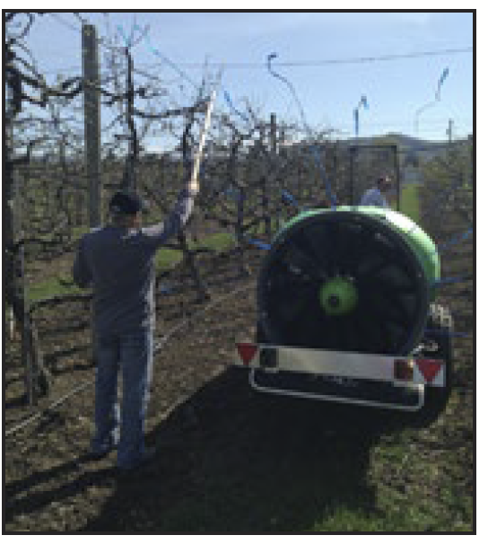 a person standing behind an airblast sprayer as flagging tape blows in the direction the sprayer is producing air.