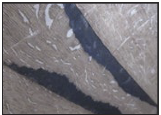 An oak barrel stave that has both charred and non-charred sections