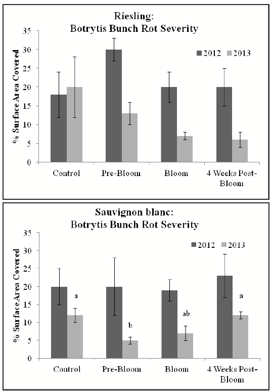 A set of bar graphs showing differences in Botrytis bunch rot between leaf- removal treatments. There was only a difference in 2013 in Sauvignon blan, where pre-bloom leaf removal had less disease than the control or the standard 4-weeks post bloom leaf removal.