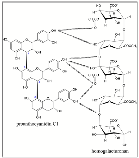 a schematic of chemical molecules