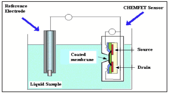 a schematic of how the sensors and electrodes work, via a sensor sorce and drain, membranes, a reference electrode and the sample