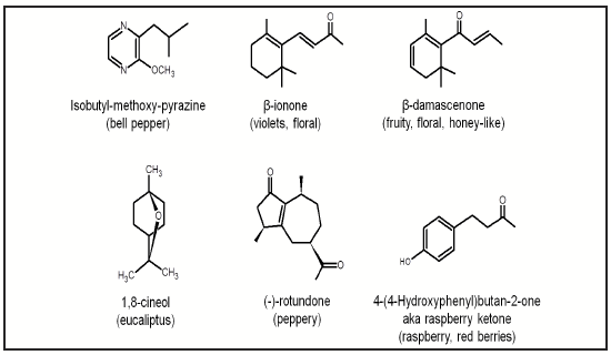 a schematic of different chemical compounds associated with red wine, and their molecular structure.