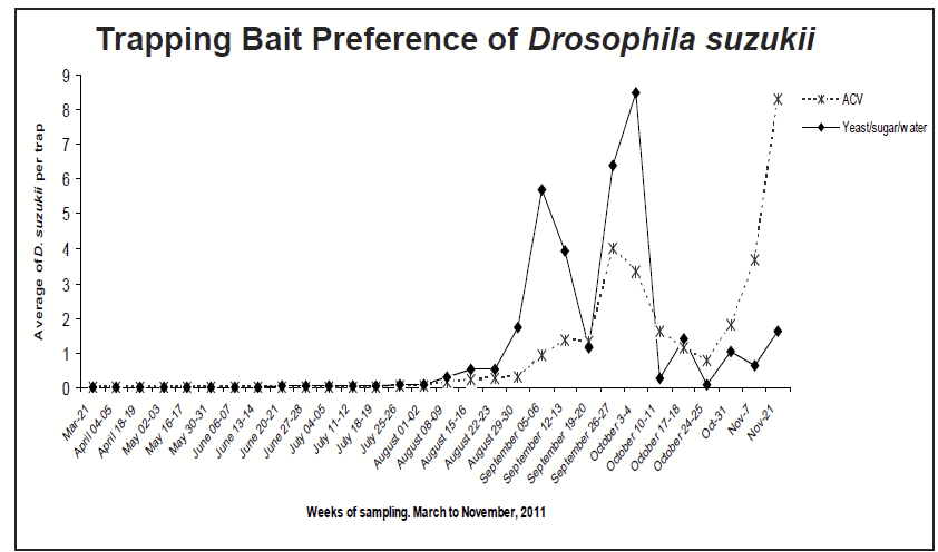 Line traces depict the average number of Drosophila suzukii caught over the course of the growing season. During the warmer summer months, D. suzukii flies preferred the fermenting yeast bait, but as temperatures cooled in the fall, the apple cider vinegar (ACV) bait was preferred.
