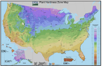 screen capture of the USDA grapevine cold hardiness zone map